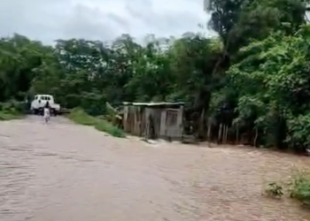 Captura de pantalla 2025 05 16 a la(s) 3.59.03 p. m.